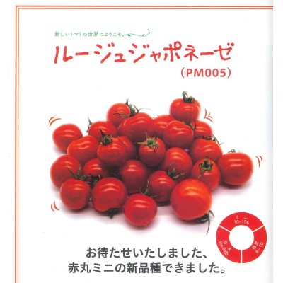 画像2: [トマト/マウロの地中海トマト]　ルージュ　ジャポネーゼ　1000粒　 パイオニアエコサイエンス（株）