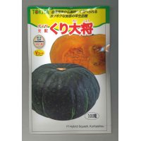 [かぼちゃ]　くり大将　100粒　トキタ種苗（株）