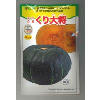 送料無料　[かぼちゃ]　くり大将　100粒　トキタ種苗(株)