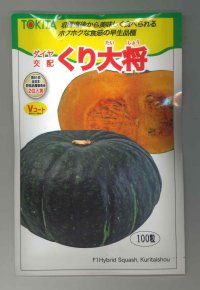 送料無料　[かぼちゃ]　くり大将　100粒　トキタ種苗(株)
