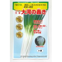 [ねぎ]　大河の轟き 　5ml　裸種子（およそ675粒）  トキタ種苗（株）