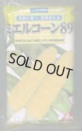 [とうもろこし]　ミエルコーン89　2000粒　雪印種苗（株）