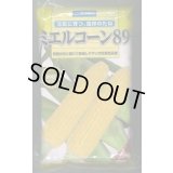 [とうもろこし]　ミエルコーン89　2000粒　雪印種苗（株）