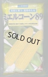 [とうもろこし]　ミエルコーン89　2000粒　雪印種苗（株）