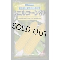 [とうもろこし]　ミエルコーン89　2000粒　雪印種苗（株）