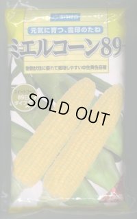 [とうもろこし]　ミエルコーン89　2000粒　雪印種苗（株）