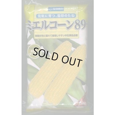 画像1: [とうもろこし]　ミエルコーン89　2000粒　雪印種苗（株）