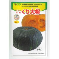 [かぼちゃ]　くり大将　7粒　トキタ種苗（株）