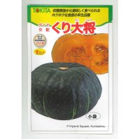 送料無料　[かぼちゃ]　くり大将　7粒　トキタ種苗(株)