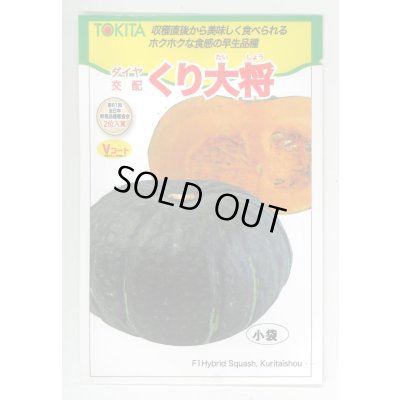画像1: 送料無料　[かぼちゃ]　くり大将　7粒　トキタ種苗(株)