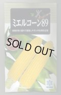 送料無料　[とうもろこし]　ミエルコーン89　200粒　雪印種苗（株）