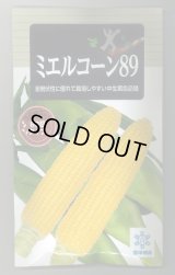 送料無料　[とうもろこし]　ミエルコーン89　200粒　雪印種苗（株）