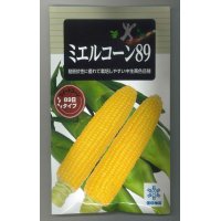 [とうもろこし]　ミエルコーン89   200粒　雪印種苗