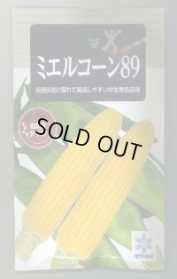 送料無料　[とうもろこし]　ミエルコーン89　200粒　雪印種苗（株）