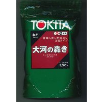 送料無料　[ねぎ]　大河の轟き　コート5千粒　トキタ種苗(株)