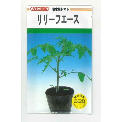 画像1: 送料無料　[台木/トマト用]　リリーフエース　1000粒　カネコ種苗
