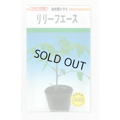 画像1: 送料無料　[台木/トマト用]　リリーフエース　1000粒　カネコ種苗（株）