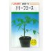 画像1: 送料無料　[台木/トマト用]　リリーフエース　1000粒　カネコ種苗 (1)