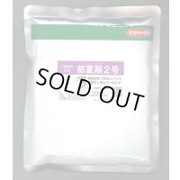 送料無料　[ねぎ]　初夏扇2号　ペレット種子　6000粒　(株)サカタのタネ