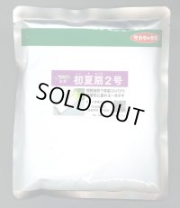 送料無料　[ねぎ]　初夏扇2号　ペレット種子　6000粒　(株)サカタのタネ