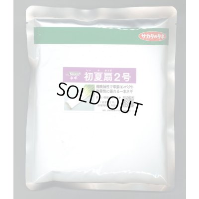 画像1: 送料無料　[ねぎ]　初夏扇2号　ペレット種子　6000粒　(株)サカタのタネ