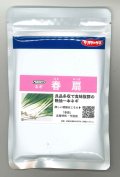 送料無料　[ねぎ]　春扇　1dl(裸種子)　(株)サカタのタネ