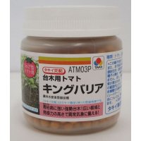 [台木/トマト用]　送料無料！　キングバリア　 コート　2L　 1000粒　タキイ交配