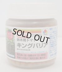 送料無料 [台木/トマト用] キングバリア コート 2L 1000粒 タキイ交配