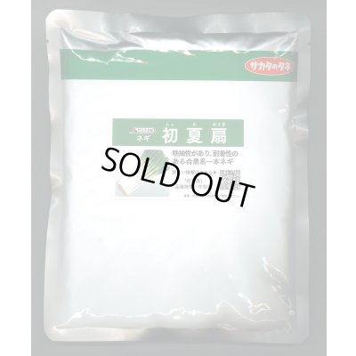 画像1: 送料無料 [ねぎ] 初夏扇 ペレット種子 6千粒 (株)サカタのタネ