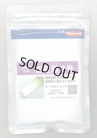 送料無料　[ねぎ]　初夏扇2号　1dl(裸種子)(株)サカタのタネ