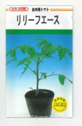 送料無料　[台木/トマト用]　リリーフエース　100粒　カネコ種苗