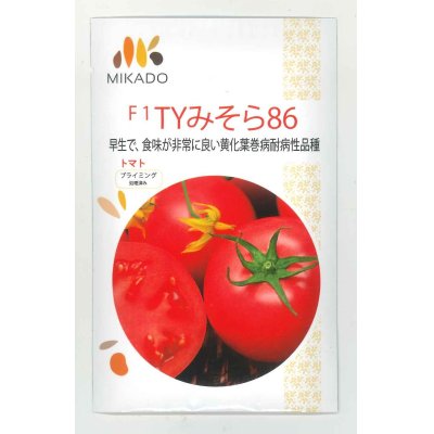 画像1: [トマト]　大玉トマト　TYみそら86　100粒　ヴィルモランみかど