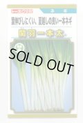 送料無料　[ねぎ]　関羽一本太　5ml(およそ1,085粒)　(株)トーホク