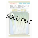 送料無料　[ねぎ]　関羽一本太　5ml(およそ1,085粒)　(株)トーホク