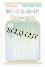 送料無料　[ねぎ]　関羽一本太　5ml(およそ1,085粒)　(株)トーホク