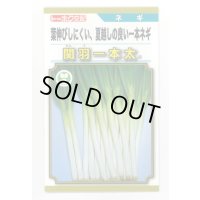 送料無料　[ねぎ]　関羽一本太　5ml(およそ1,085粒)　(株)トーホク