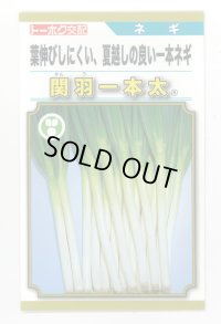 送料無料　[ねぎ]　関羽一本太　5ml(およそ1,085粒)　(株)トーホク