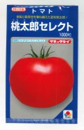 送料無料　[トマト/桃太郎系]桃太郎セレクト　1000粒　タキイ種苗(株)