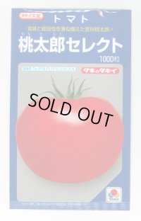 送料無料　[トマト/桃太郎系]桃太郎セレクト　1000粒　タキイ種苗(株)