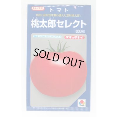 画像1: 送料無料　[トマト/桃太郎系]桃太郎セレクト　1000粒　タキイ種苗(株)