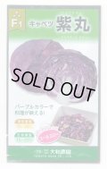 送料無料　[キャベツ]　紫丸　1ml　(およそ190粒)　(株)大和農園