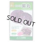 送料無料　[キャベツ]　紫丸　1ml　(およそ190粒)　(株)大和農園