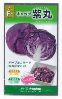 [キャベツ]　紫丸　1ml （およそ190粒）　（株）大和農園