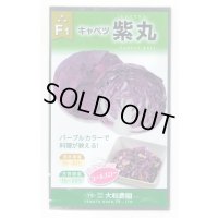 送料無料　[キャベツ]　紫丸　1ml　(およそ190粒)　(株)大和農園