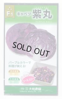 送料無料　[キャベツ]　紫丸　1ml　(およそ190粒)　(株)大和農園
