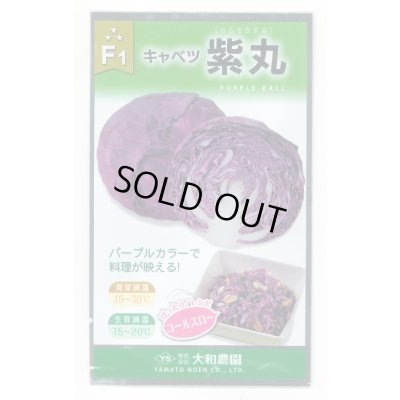 画像1: 送料無料　[キャベツ]　紫丸　1ml　(およそ190粒)　(株)大和農園