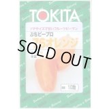 送料無料　[ピーマン]　ぷちピープロ　オレンジ　10粒　トキタ種苗(株)