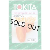 送料無料　[ピーマン]　ぷちピープロ　オレンジ　10粒　トキタ種苗(株)