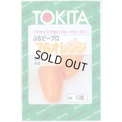 画像1: 送料無料　[ピーマン]　ぷちピープロ　オレンジ　10粒　トキタ種苗(株)