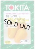 送料無料　[ピーマン]　ぷちピープロ　イエロー73　10粒　トキタ種苗(株)